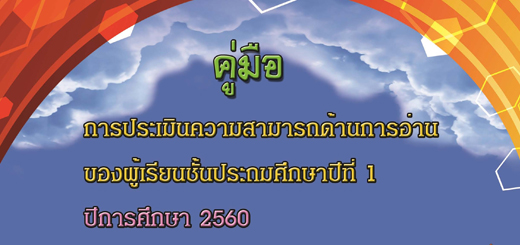 read_p1_img
