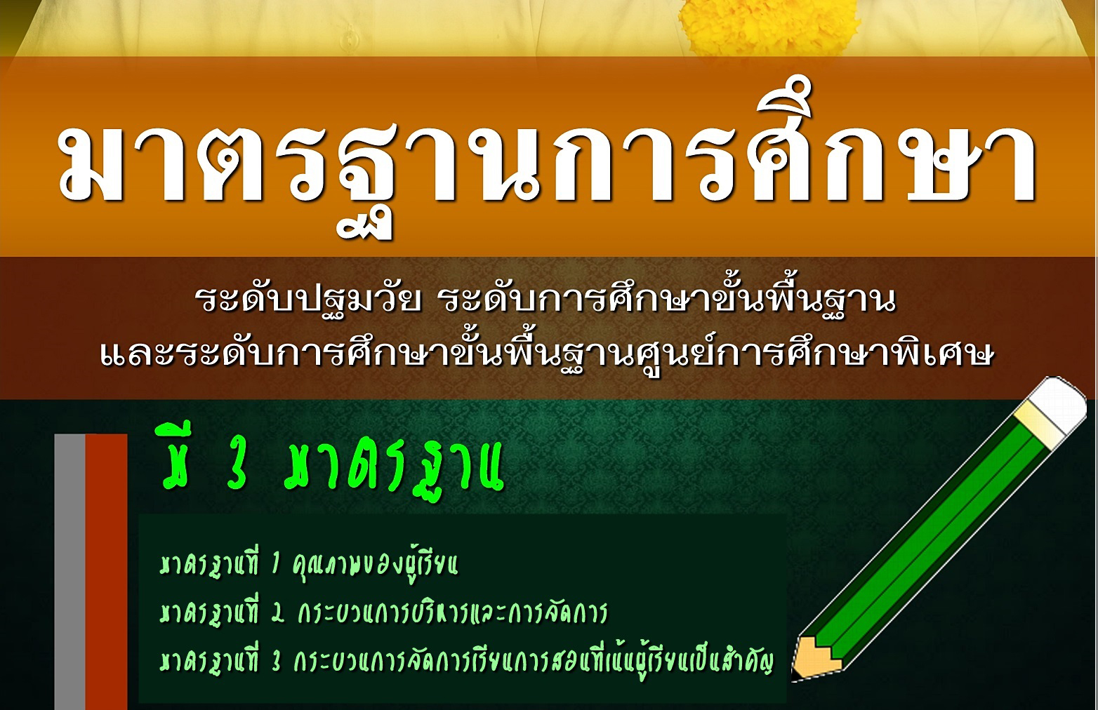 standard_2561