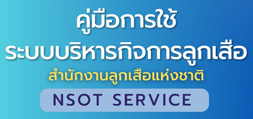 NSOT Service