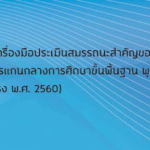 คู่มือการใช้เครื่องมือประเมินฯ
